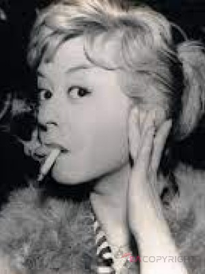 Escort-ads.com | Profile picture for member Fellini76