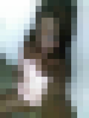 Escort-ads.com | Blurred background picture for escort Honeydippz