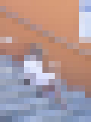 Escort-ads.com | Blurred background picture for escort Miss Kera 1