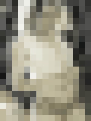 Escort-ads.com | Blurred background picture for escort BunnyPaige