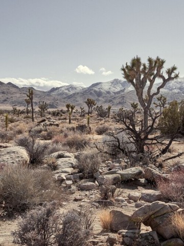 Theodore Albuquerque, New Mexico Escort, Verified Escorts Services Theodore Albuquerque, New Mexico Escort, , Verified Adult Service Provider, Companion in United States