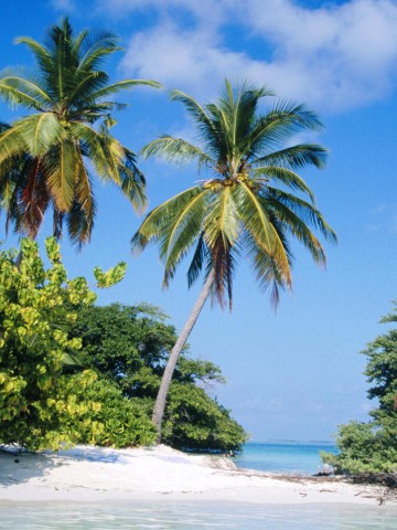 nyctest New York City Escort, Verified Escorts Services nyctest New York City Escort, , Verified Adult Service Provider, Companion in United States