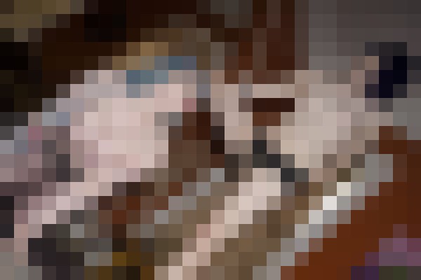 Xena Kitty Boston, Massachusetts Escort, Verified Escorts Services | 11 Xena Kitty Boston, Massachusetts Escort, Pornstar, DUO, Couple, Verified Adult Service Provider, Companion in United States | 11